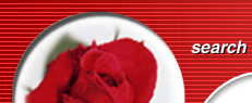 Rachel's Red Roses