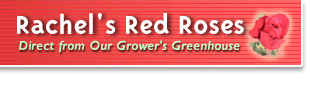 Rachel's Red Roses