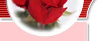 Rachel's Red Roses